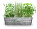 Crecimiento rectangular de las hierbas de las plantas de las verduras de la flor del cubo de la lata del metal proveedor